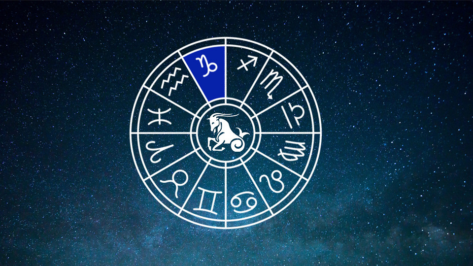 Tenth House Astrology